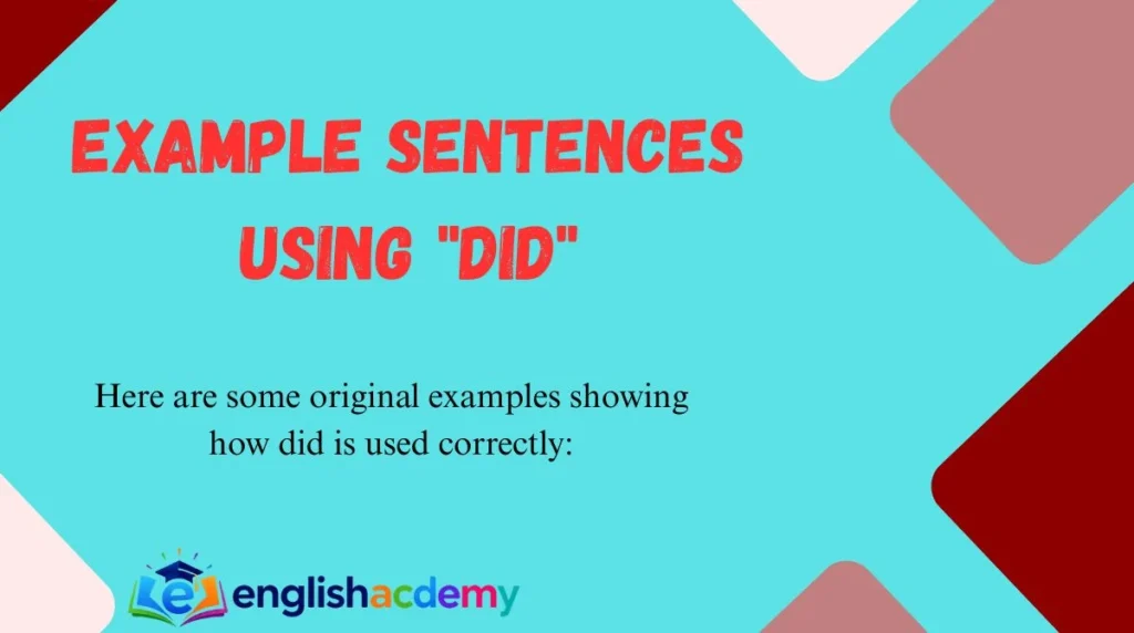 Example Sentences Using "Did"