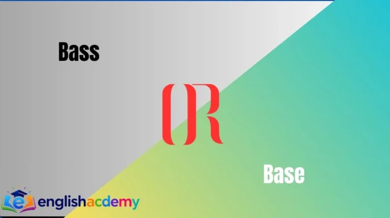 Bass or Base