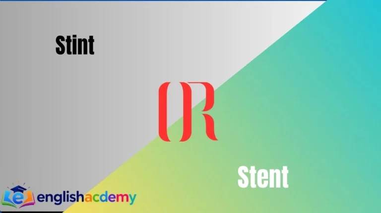 Stint or Stent